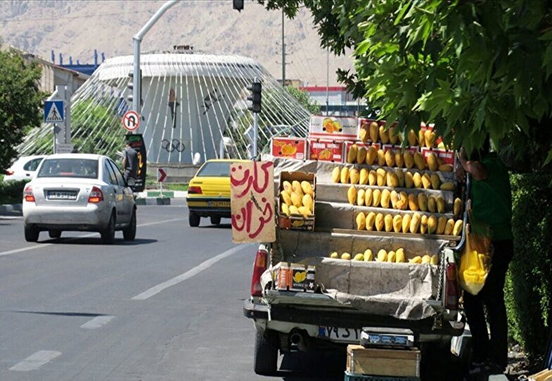 پای مافیا به وانتی های شهر بازشد