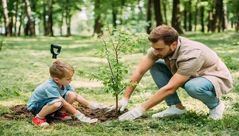 کاشت درخت؛ راه‌حلی برای تغییرات اقلیمی یا تهدیدی برای اکوسیستم‌ها می باشد