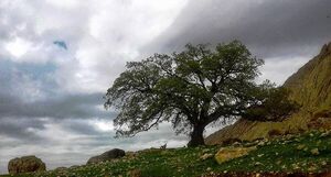 روستای ریجاب کرمانشاه را باید دید